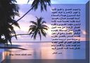 HusseinALahlafi_09.JPG