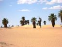 The_Libyan__Sahara_67.JPG