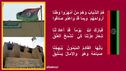 libyan_flag_albakour04.jpg